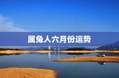 属兔人六月份运势，63属兔人20236月中旬运势财运如何？