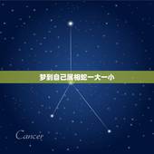 梦到自己属相蛇一大一小，梦见自己的属相蛇