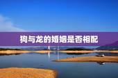 狗与龙的婚姻是否相配，属龙的和属狗的，能结婚吗？