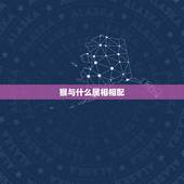 猴与什么属相相配，属牛的犯冲属相