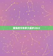 属兔的今年多大虚岁2022，属兔人未来五年运势