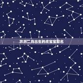 农历二月出生的虎宝宝取名，农历二月出生的虎