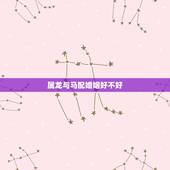属龙与马配婚姻好不好，男属马女属龙结婚配吗