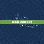 12星座2022年2月运势，12星座2011年总体运势
