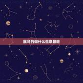 属马的做什么生意最旺，属马的适合做什么生意？