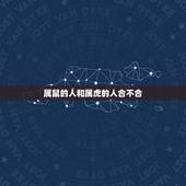 属鼠的人和属虎的人合不合，女属鼠男属虎配婚好吗
