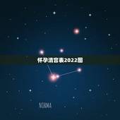 怀孕清宫表2022图，2022 年清宫表