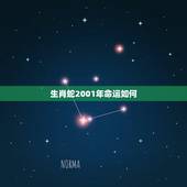 生肖蛇2001年命运如何，2001年属蛇女一生命运如何