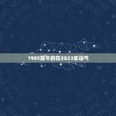1985属牛的在2023年运气，1985年属牛人的财运