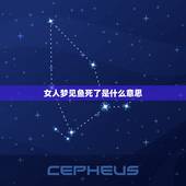 女人梦见鱼死了是什么意思，做梦先梦见活鱼后梦见活鱼变死鱼怎么回事