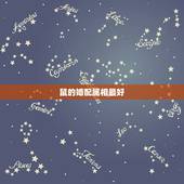 鼠的婚配属相最好，属鼠的和什么属相最配