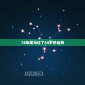 78年属马过了44岁的运势，78属马人2022 年每月运势