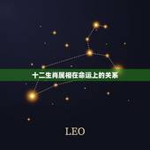 十二生肖属相在命运上的关系，生肖属相真的和性格命运有关联吗？