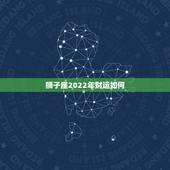 狮子座2022年财运如何 狮子座未来三年的运势