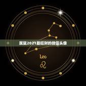 属鼠2021最旺财的微信头像，能带来好运和招财的微信头像