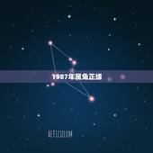 1987年属兔正缘，1987年属兔的命运和婚姻怎么样？