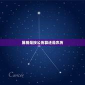 属相是按公历算还是农历，生肖属相是按阴历算.还是按阳历算