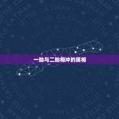 一胎与二胎相冲的属相，第一个孩子属虎，第二个孩子属什么比较好？