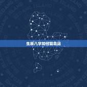 生辰八字如何算命运，怎样看生辰八字