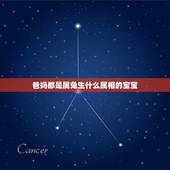 爸妈都是属兔生什么属相的宝宝，父母都属兔要什么属相的孩子