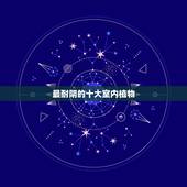 最耐阴的十大室内植物，较耐阴的植物有哪些，适宜室内养植？