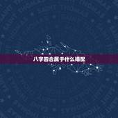 八字四合属于什么婚配，如何合八字