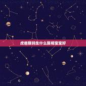 虎爸猴妈生什么属相宝宝好，写爸爸的作文500字