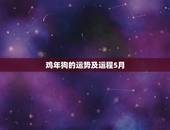 鸡年狗的运势及运程5月，狗年运程