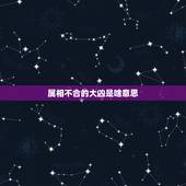 属相不合的大凶是啥意思，十二生肖配对最不合