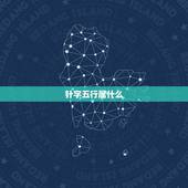针字五行属什么，什么字五行是属金的