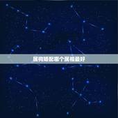 属狗婚配哪个属相最好，属狗女配什么属相好