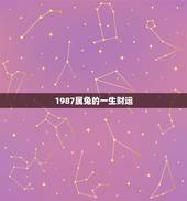 1987属兔的一生财运，87属兔一生有几次婚姻