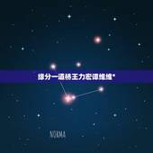 缘分一道桥王力宏谭维维*，求谭维维、王力宏歌曲《缘分一道桥》*高