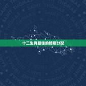 十二生肖最佳的婚姻分配，十二生肖最佳配偶