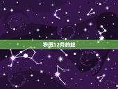 农历12月的蛇，腊月蛇是什么命
