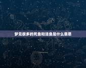 梦见很多的死鱼和活鱼是什么意思，梦见死鱼和活鱼是什么预兆？