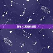 鼠年12属相的运势，2023年下半年运势如何