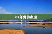 87年兔的命运，几月的兔命运更好