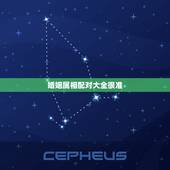 婚姻属相配对大全很准，生肖合婚靠谱吗