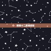 婚姻十二属相搭配，属相婚配