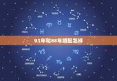 91年和88年婚配怎样，88年的龙和91年的羊能婚配吗？
