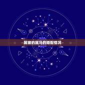 属猪的属马的婚配情况，属猪的属马的合婚吗？