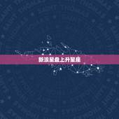 新浪星盘上升星座，新浪的个人星盘星座出来的是什么意思？