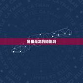 属相是龙的婚配吗，属龙的和那些属相比较婚配？