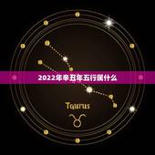 2022年辛丑年五行属什么，2024年五行属什么
