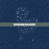 属鸡的和属羊的合财吗，男属鸡女属羊的婚姻好不好