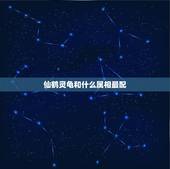 仙鹤灵龟和什么属相最配，属鸡和什么属相最配