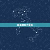 属羊的什么意思，鸡和羊的属相合吗