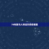 78年属马人财运方向在哪里，1978年属马人的财位是那个方向