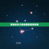 属兔的女子最佳婚配属相是啥，属兔的要与属什么的相配最好